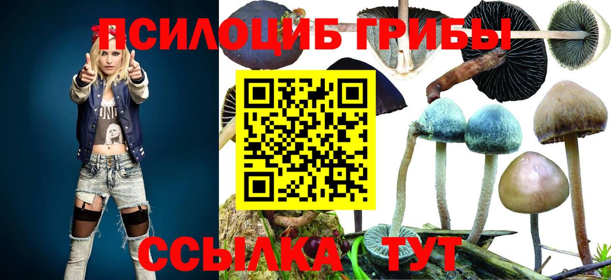 Псилоцибиновые грибы Magic Shrooms Качканар