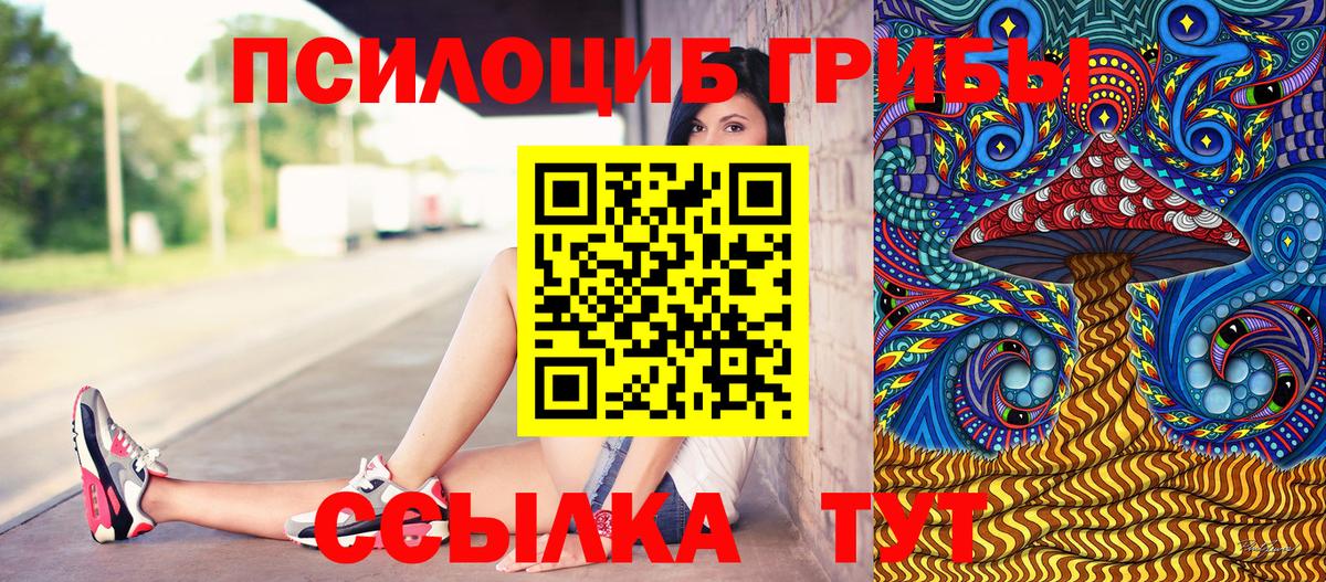 Галлюциногенные грибы MAGIC MUSHROOMS  Вход с VPN  Качканар 